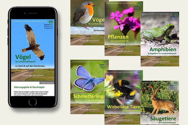 Smartphone-Broschüren