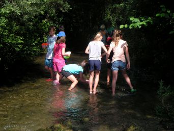 auf Expedition